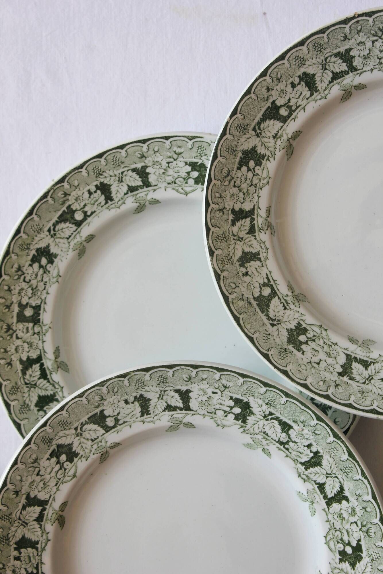 12 flat plates in iron earth model "Mulberry" Saint Amand and Hamage early twentieth century