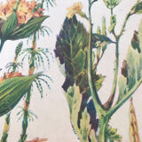 Original vintage botanical board n X