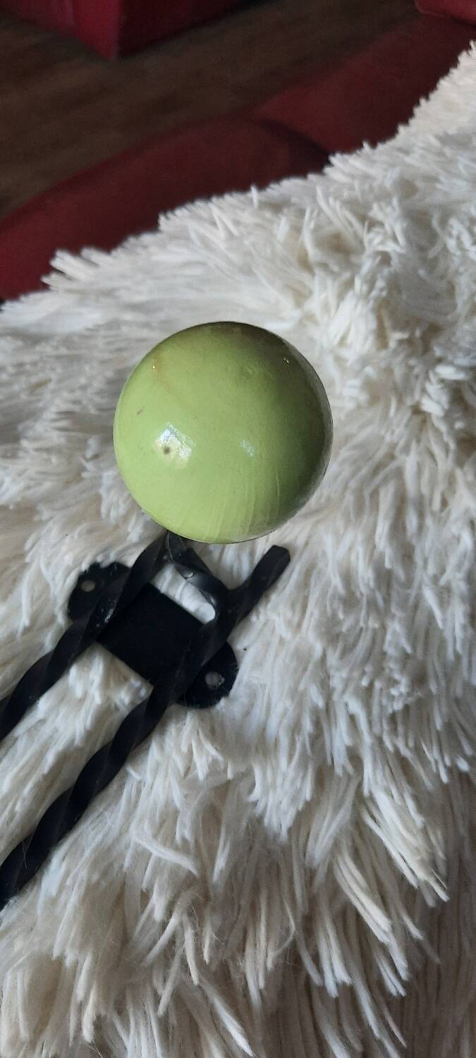 Wall-mounted coat rack