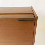 Vintage dresser by Frantisek Mezulanik, Novy Domov, Czechoslovakia, 1960s