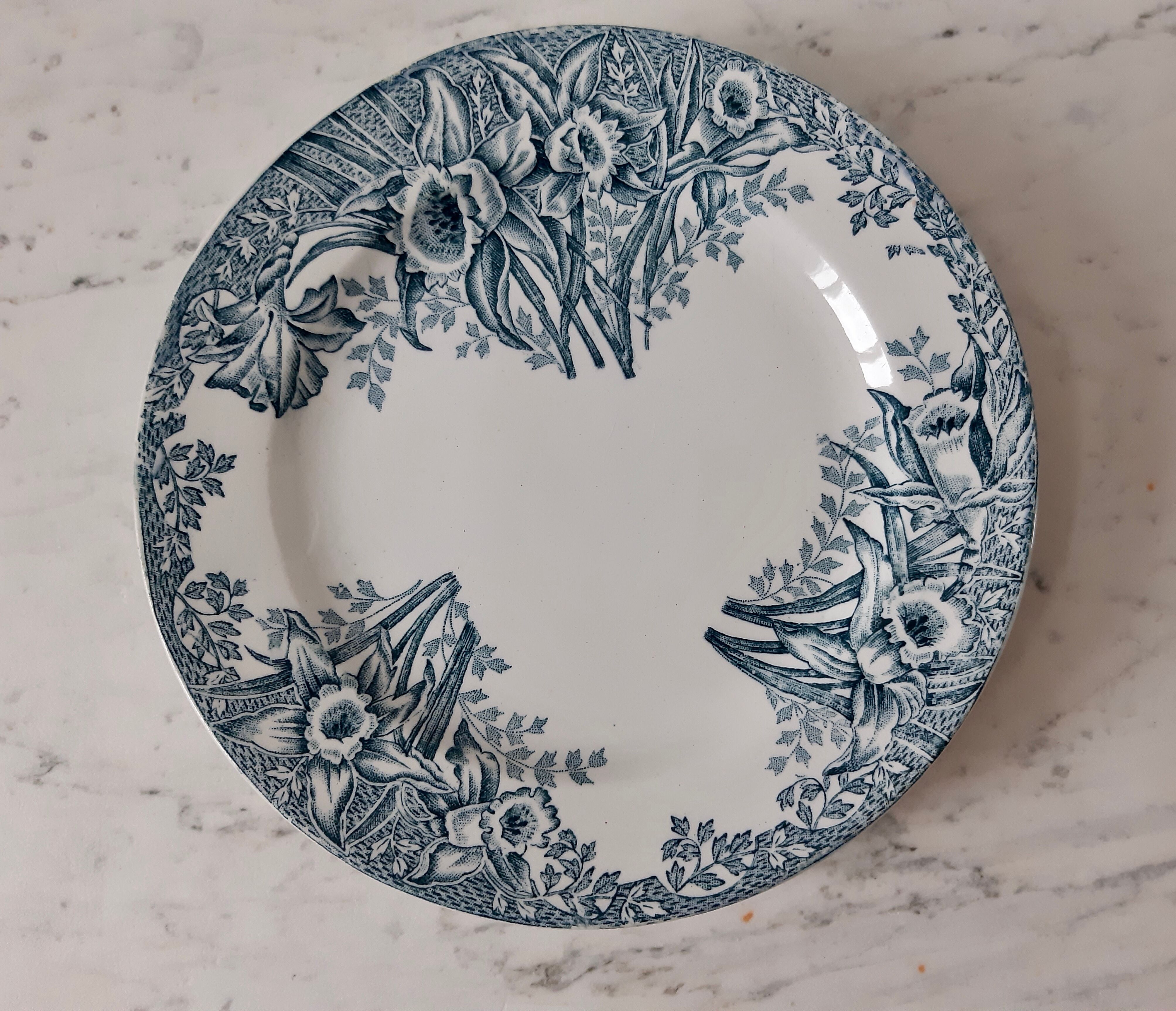 Saint Amand Plates, Narcissus model