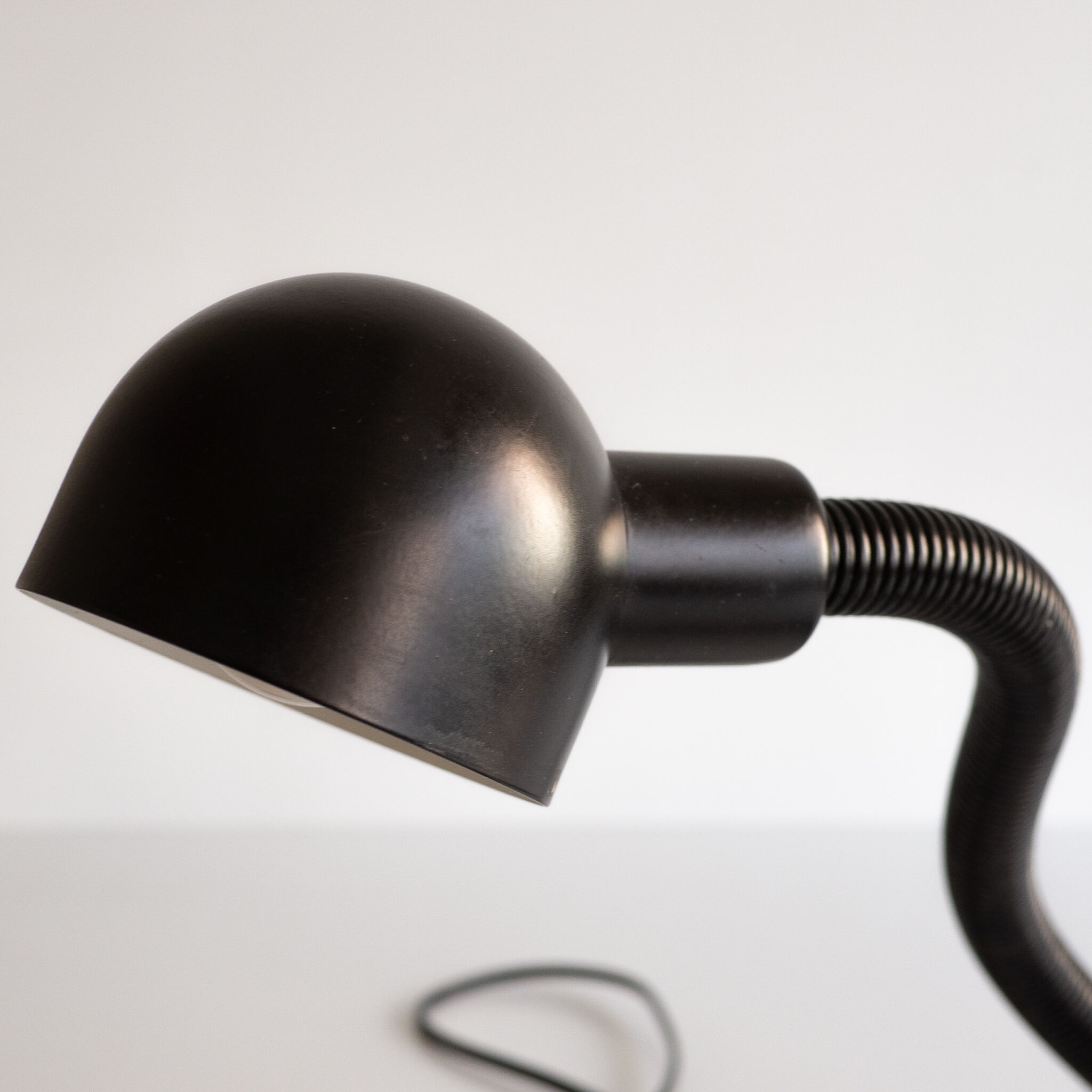 Black snake lamp