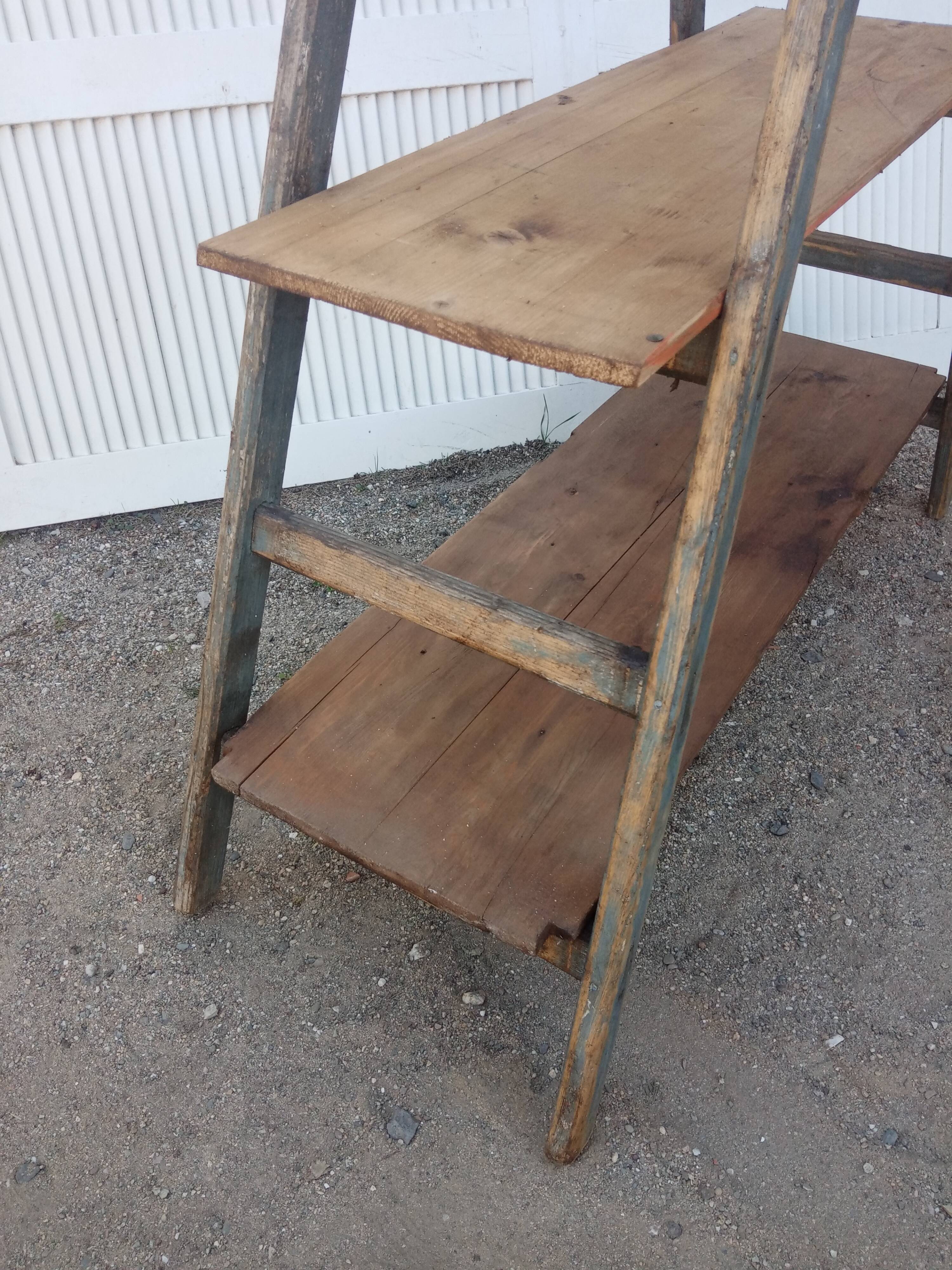 Old stepladder wooden shelf