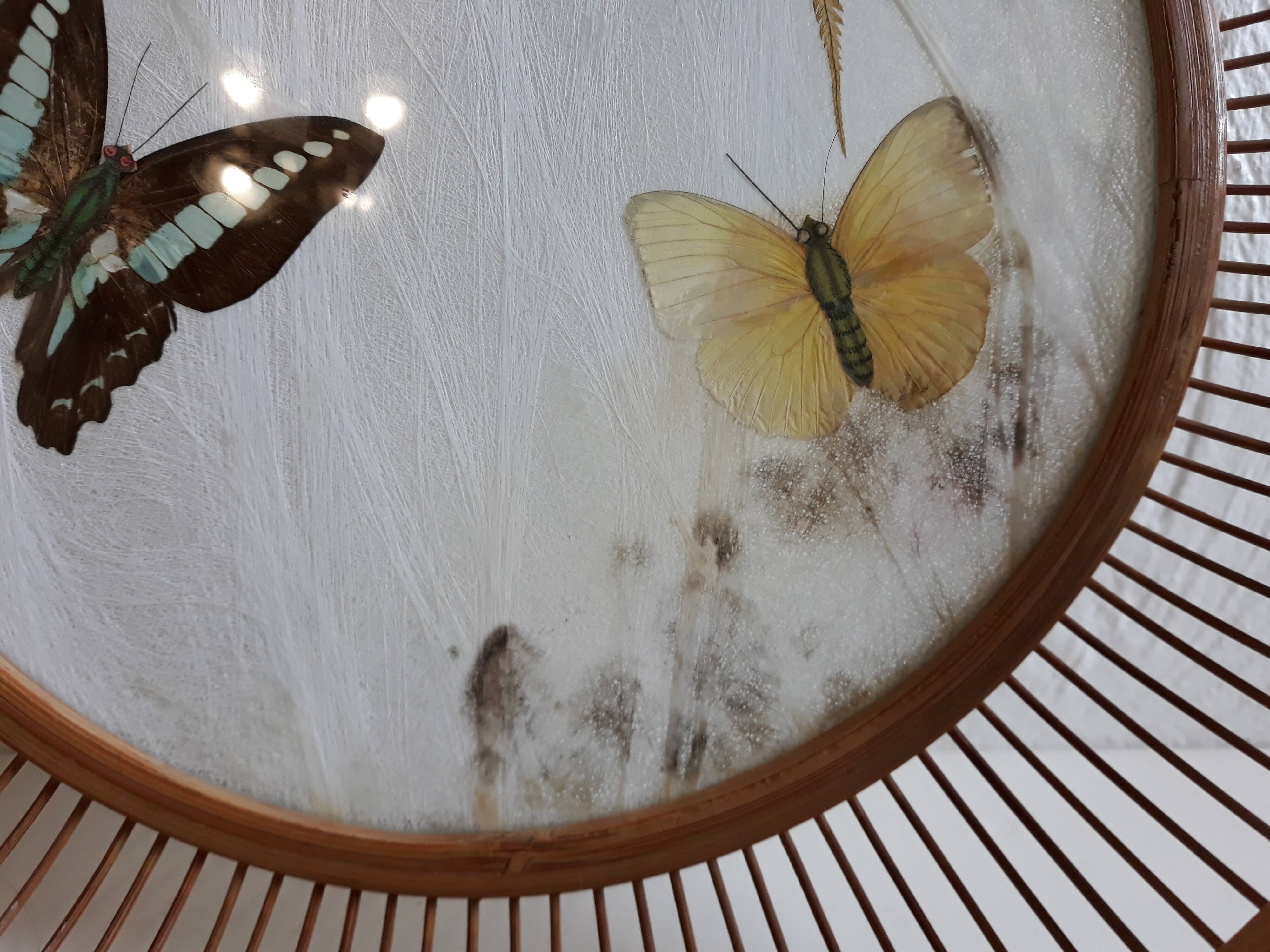 Butterfly serving plate