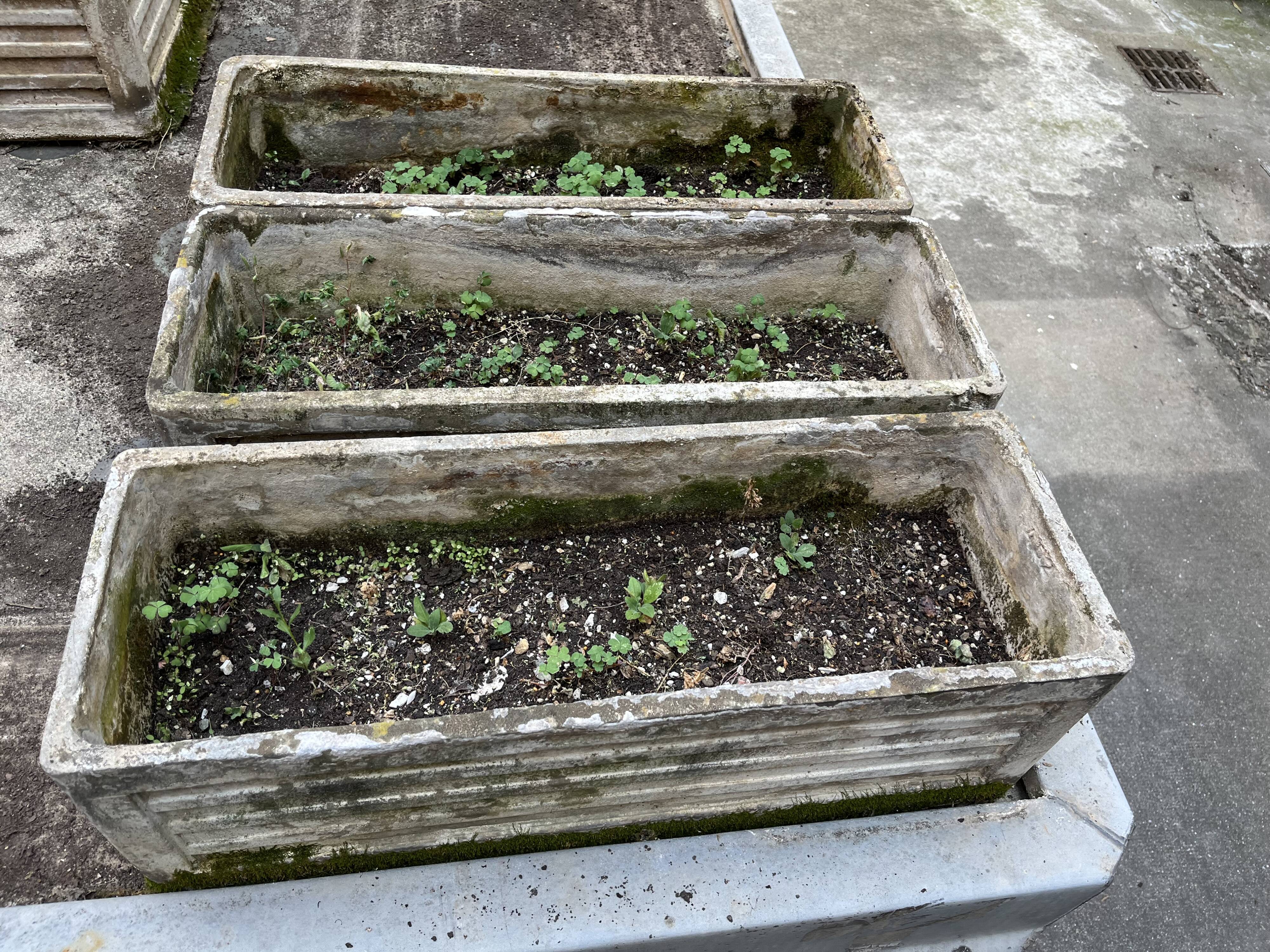 Jardinières en béton, ciment moulé