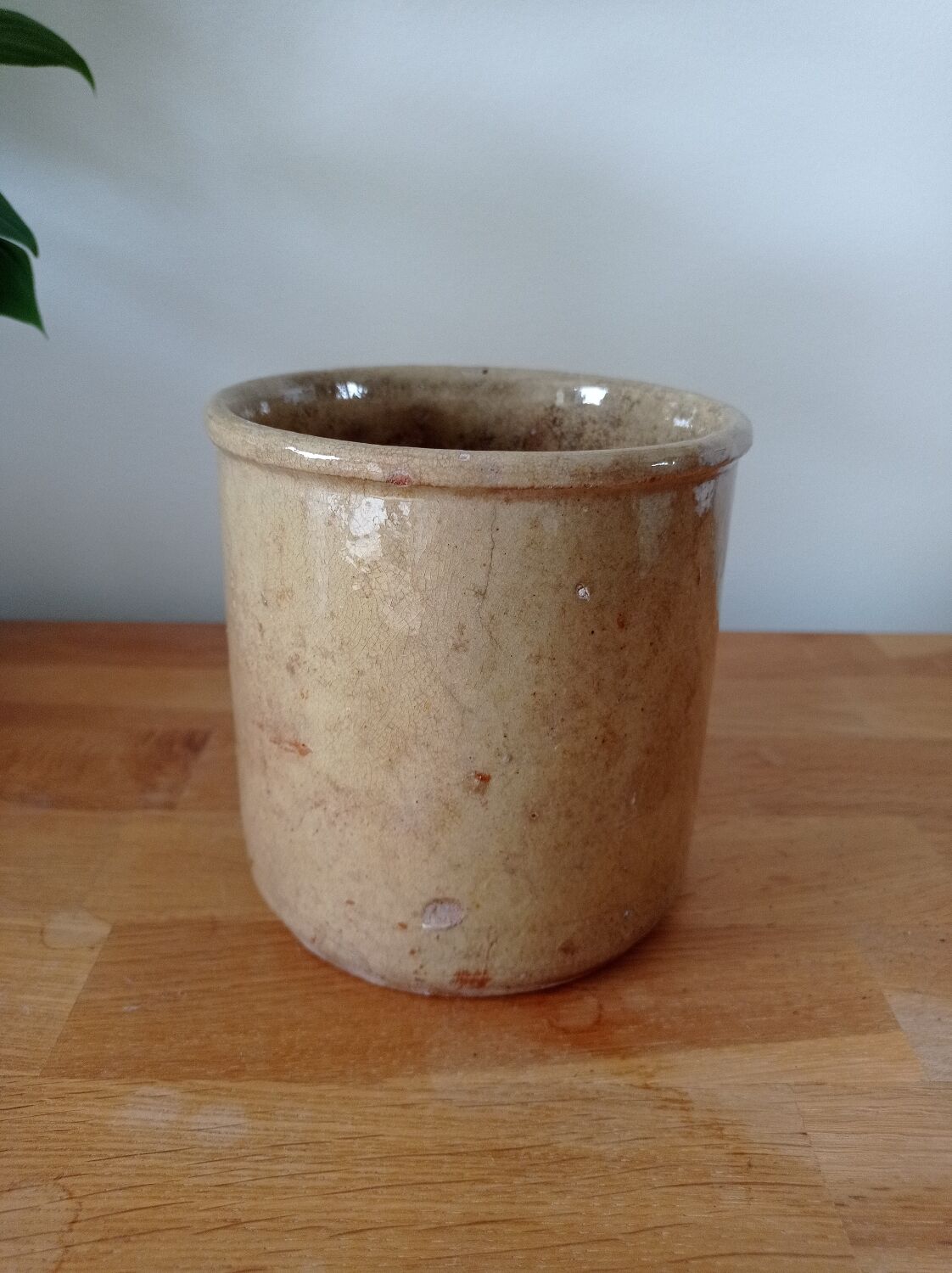 Terracotta pot