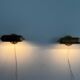 Pair of brass wall lights from the mid-century by N Leuchten, 1960s, Germany.