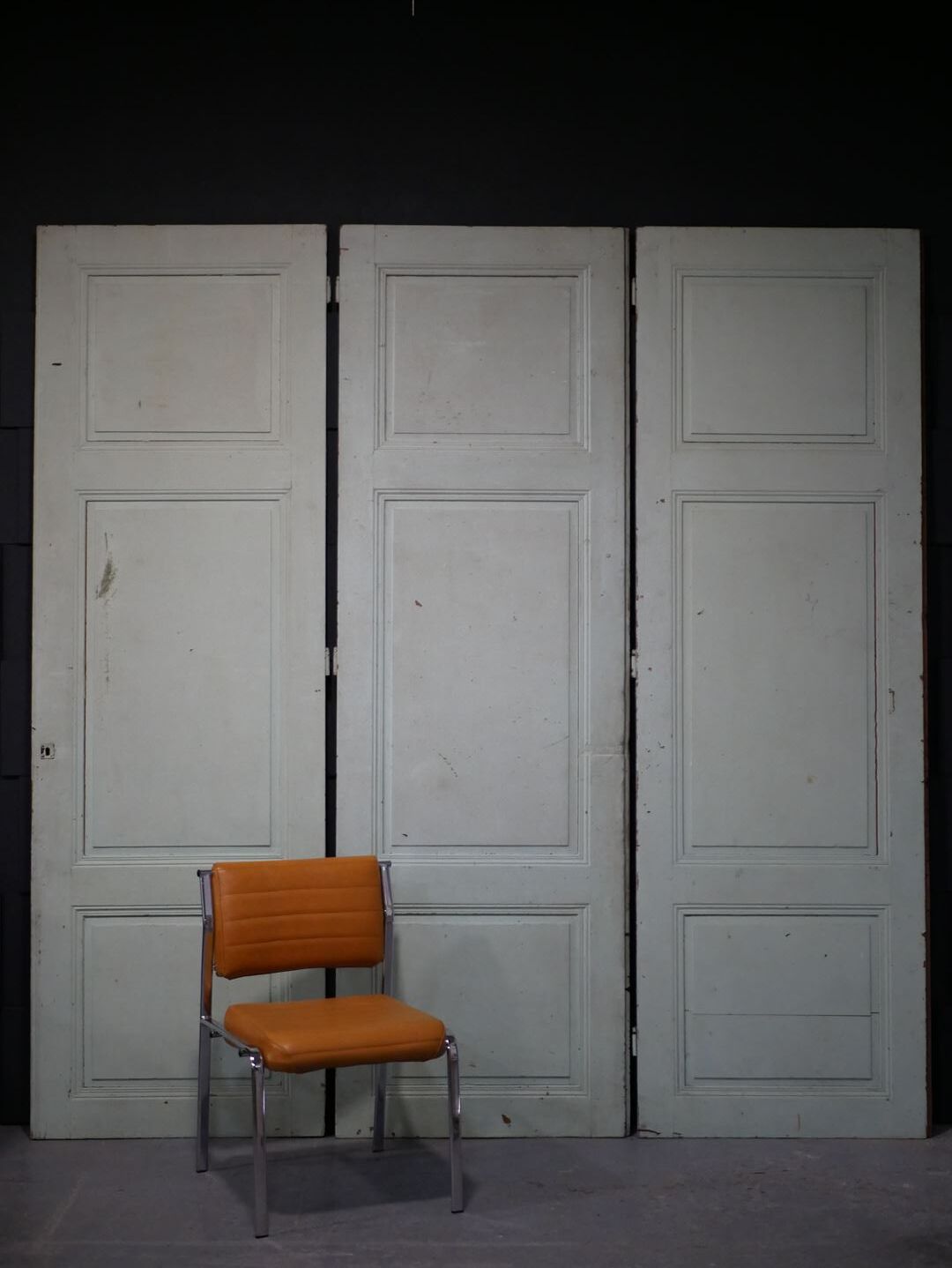 Antique painted wooden doors