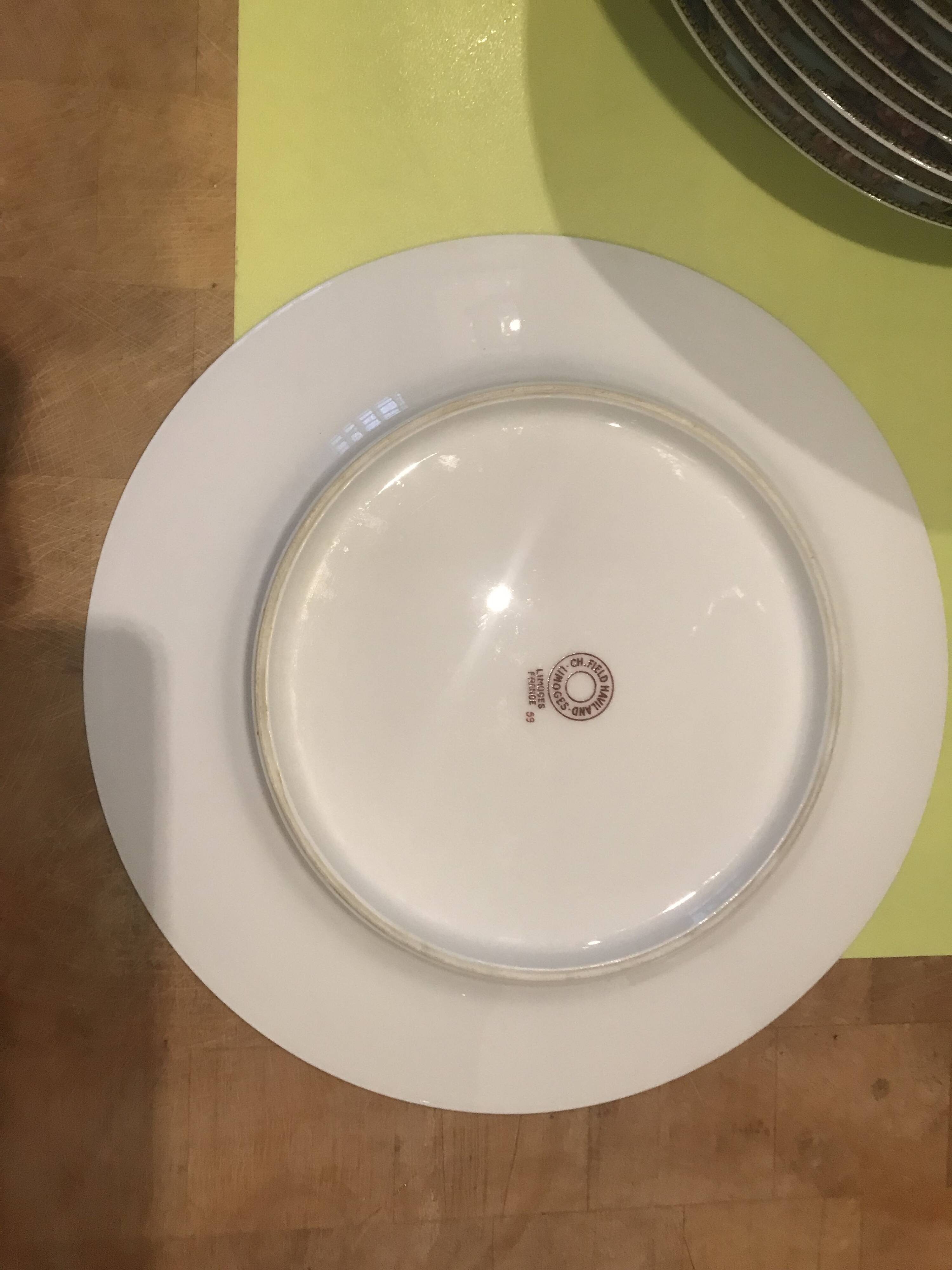 12 flat plates Havilland