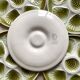 Set of 10 Moulin de Loups oyster plates
