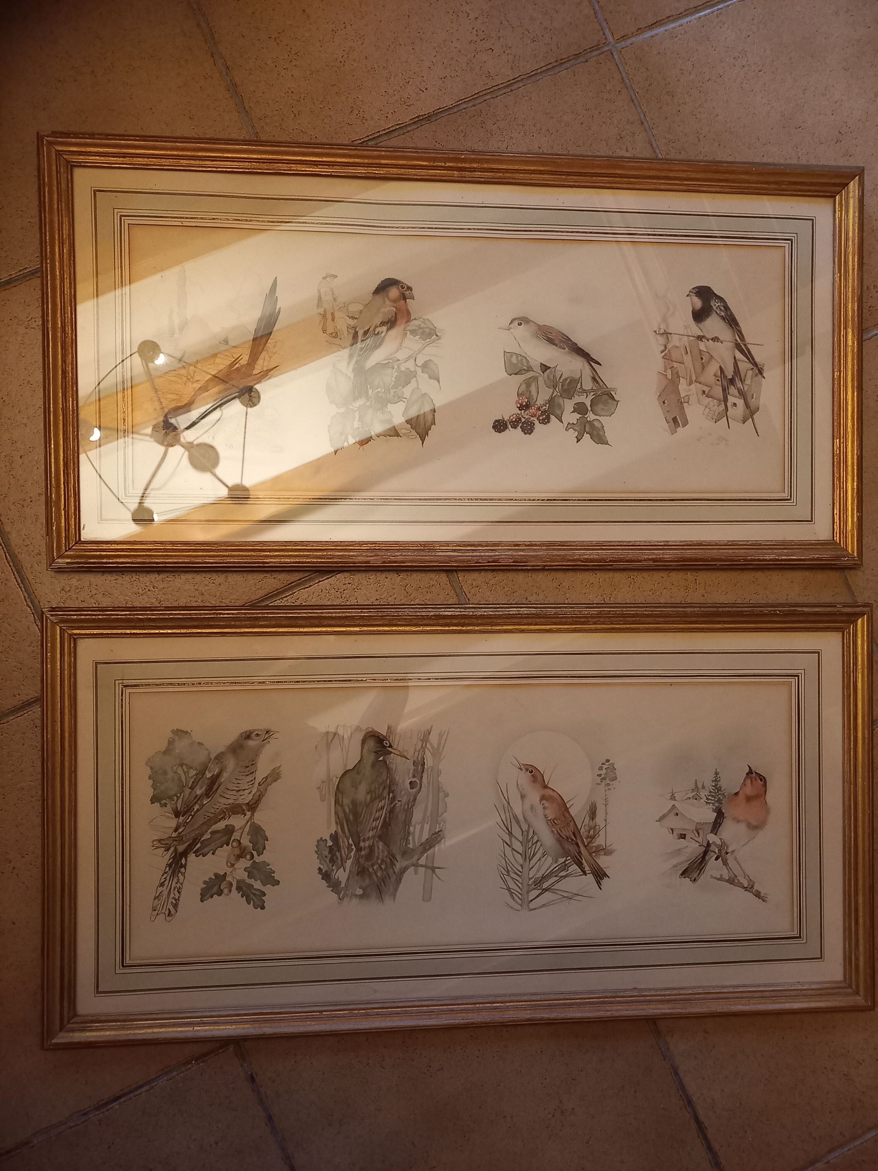Lot 2 watercolors ancient birds