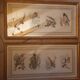 Lot 2 watercolors ancient birds