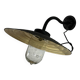 Swan neck wall lamp