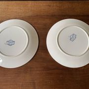 Flat plates Sarreguemines Iron Earth model Blue favorite