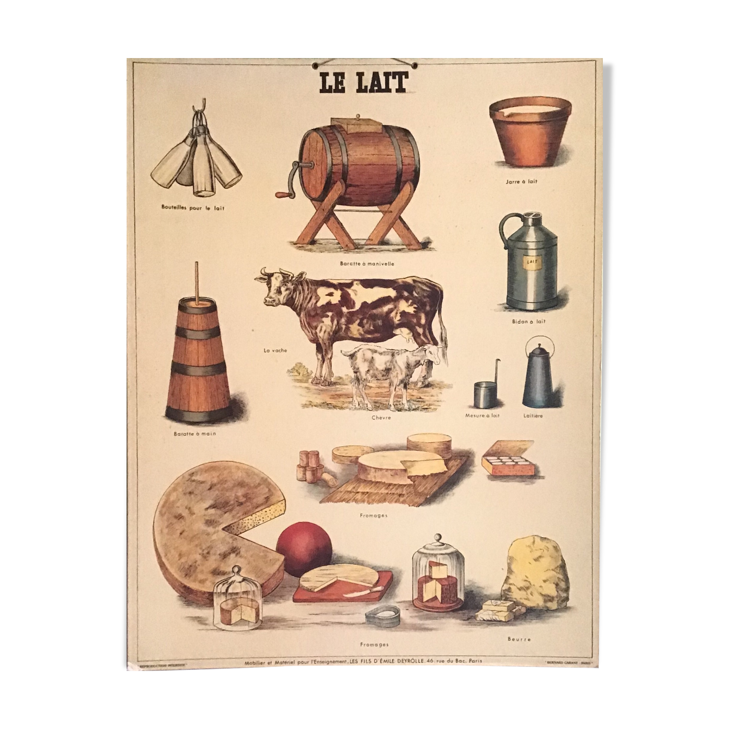 Educational poster milk, 80s