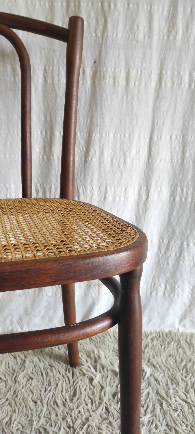 Bentwood and cane chair - early 20th century