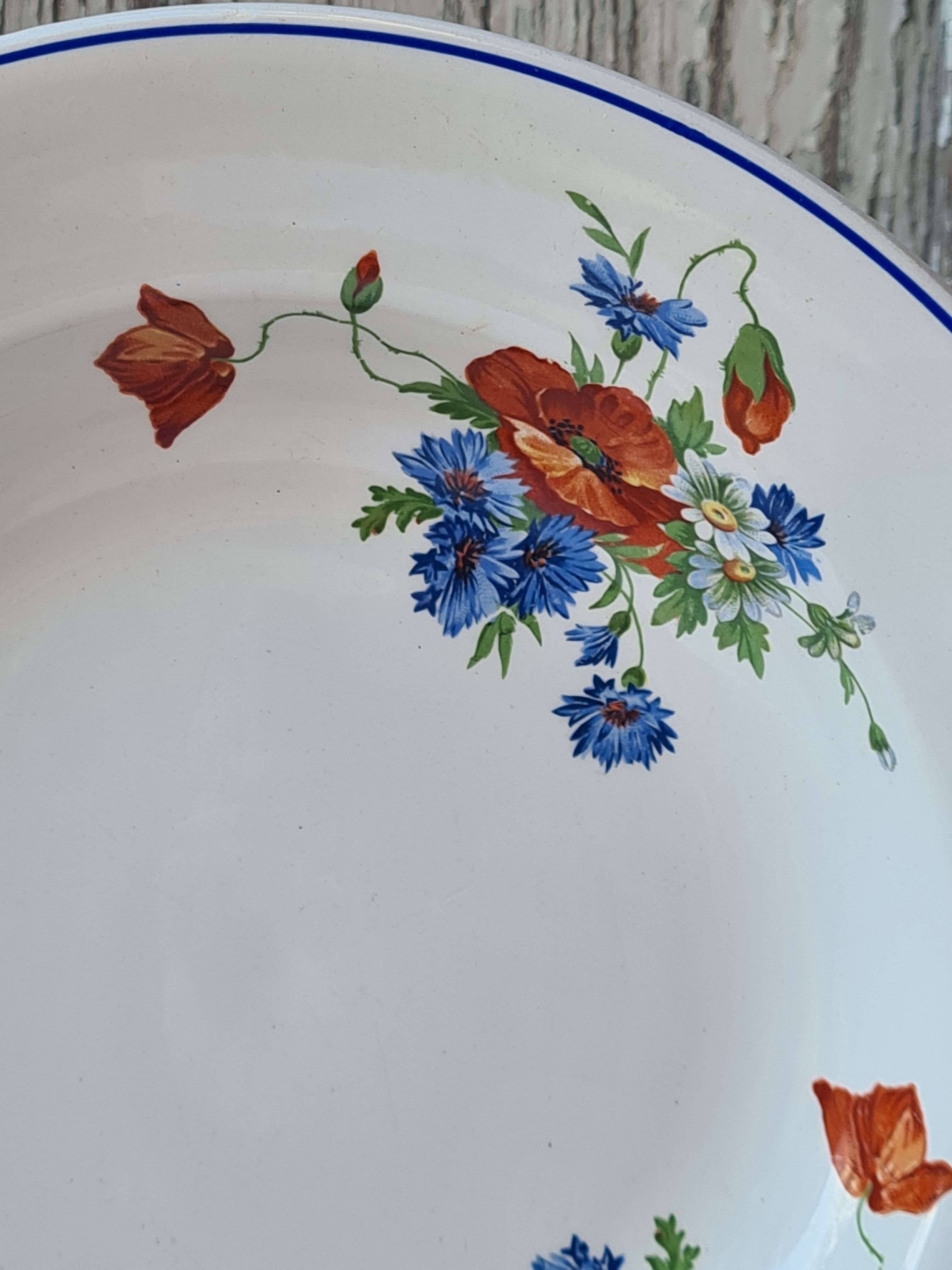Salins poppy 5 flat plates