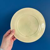 Set of 2 Salins Barbotine Plates - Vintage Parakeet Decor - service