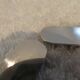 12 fruit knives 950 silver Minerva Louis XVI style wheat ear Turron
