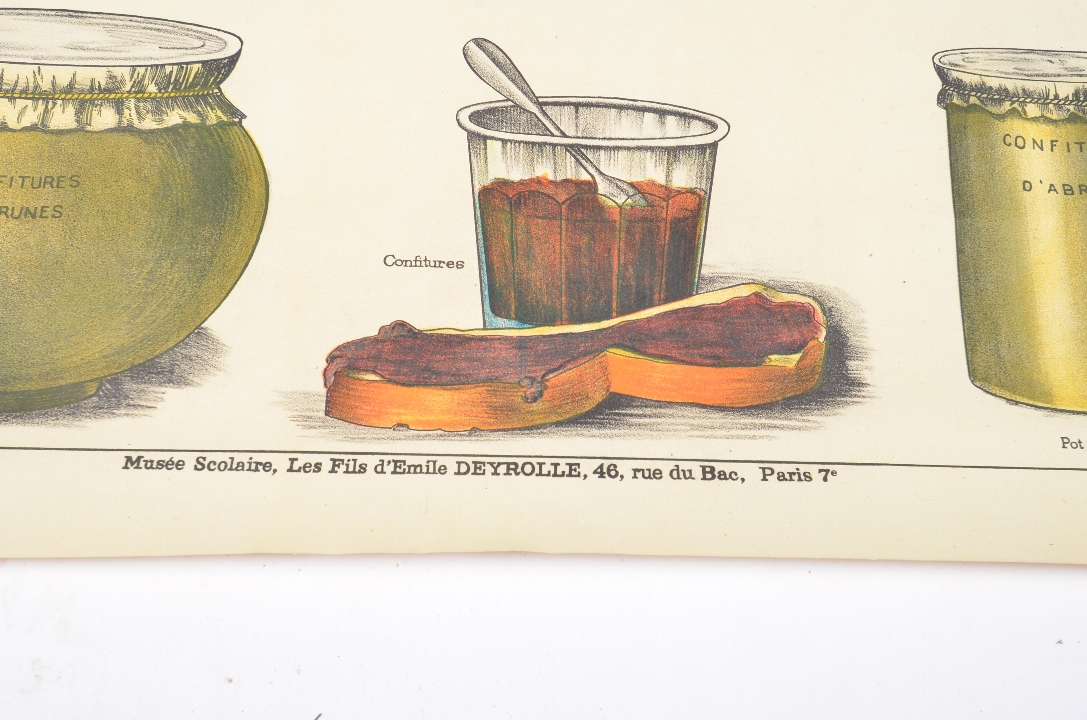 Poster Deyrolle "the compotes"