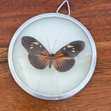 Mini cadre rond papillon