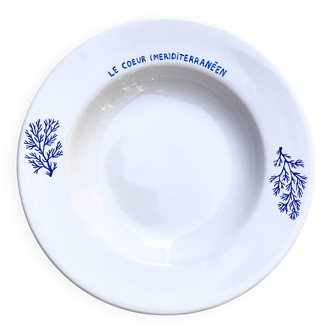 Assiette en céramique corail