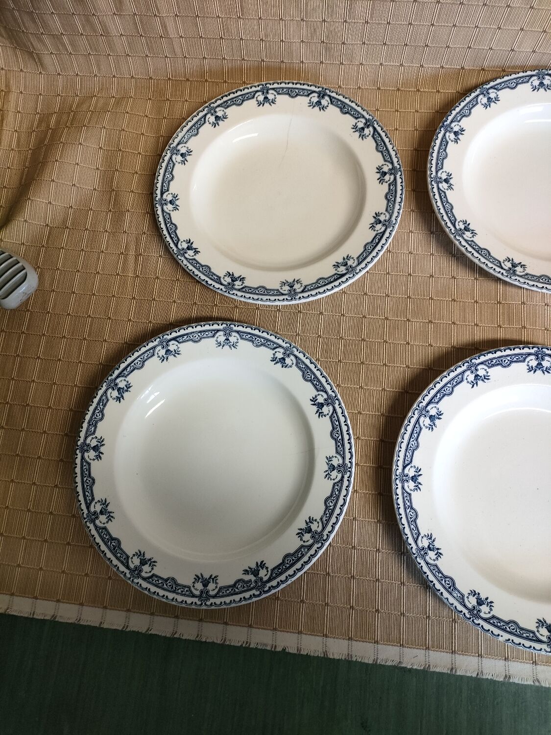 Flat plates iron earth parmentier salines