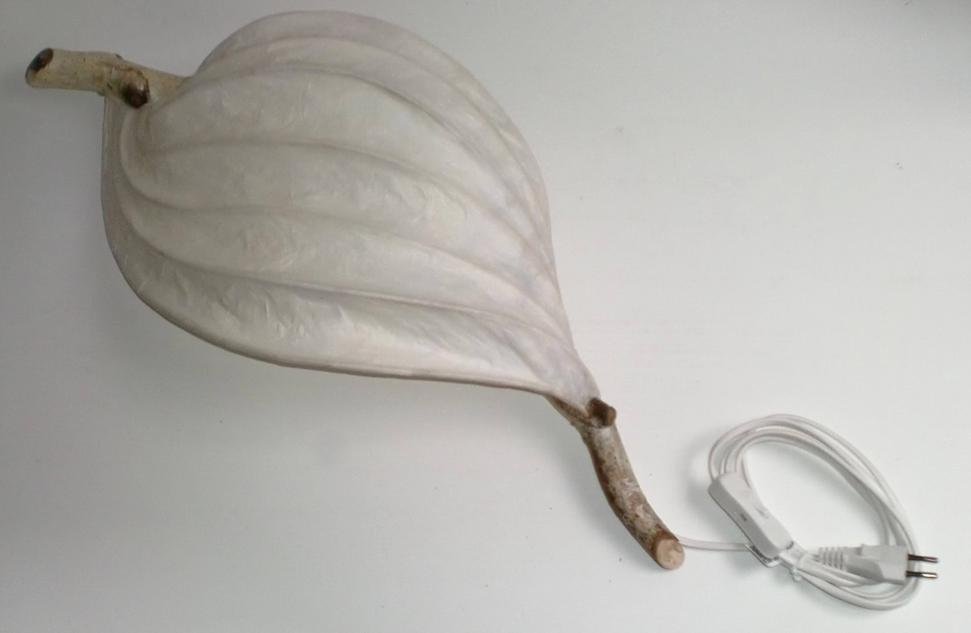 Lampe murale décorative Organic Light Sculpture, branche de bouleau et papier