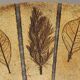 Round coffee table herbarium Roger Capron, Vallauris - ceramic and wooden structure