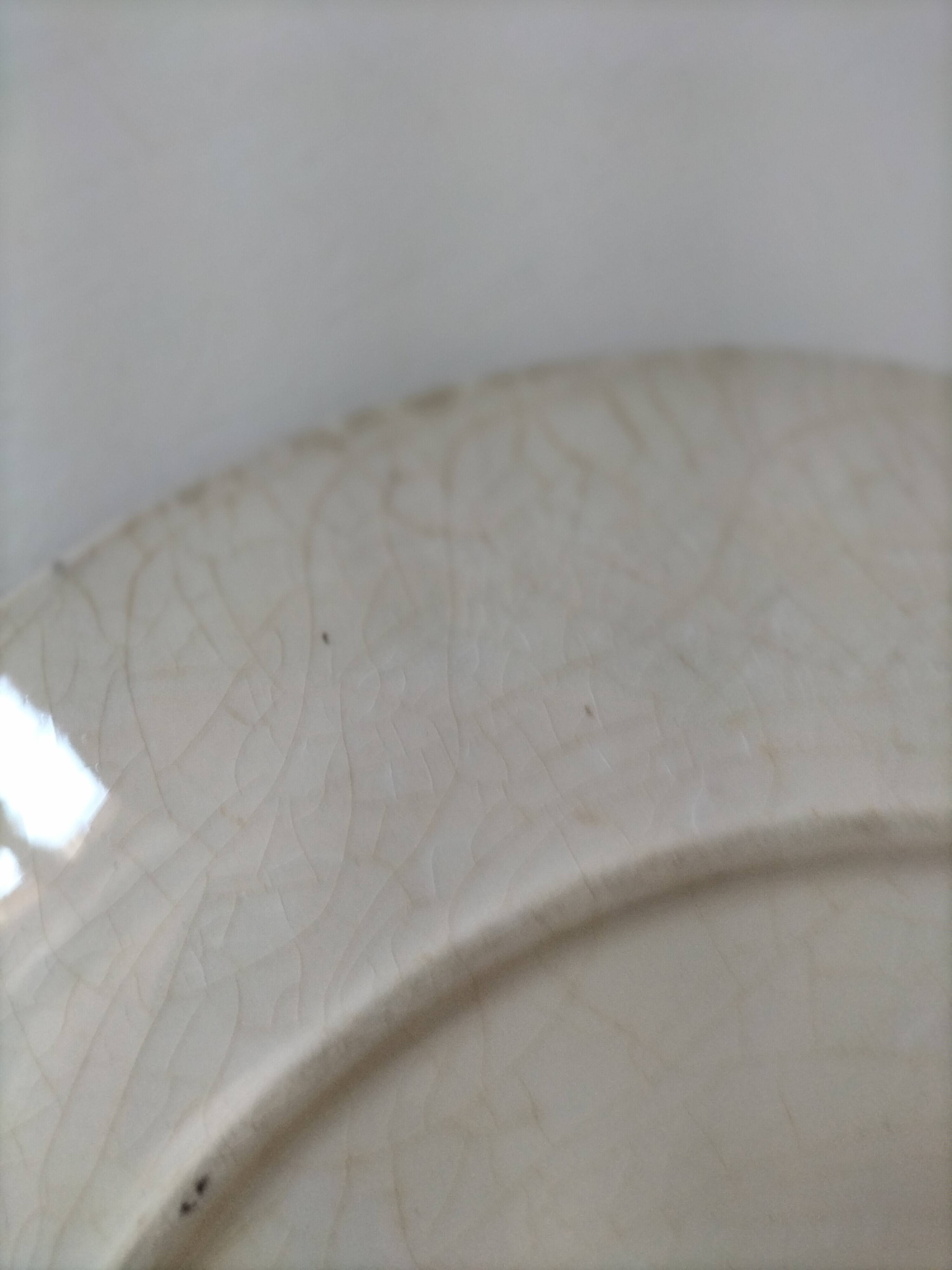 Two flat plates in earthenware with blue floral decoration.