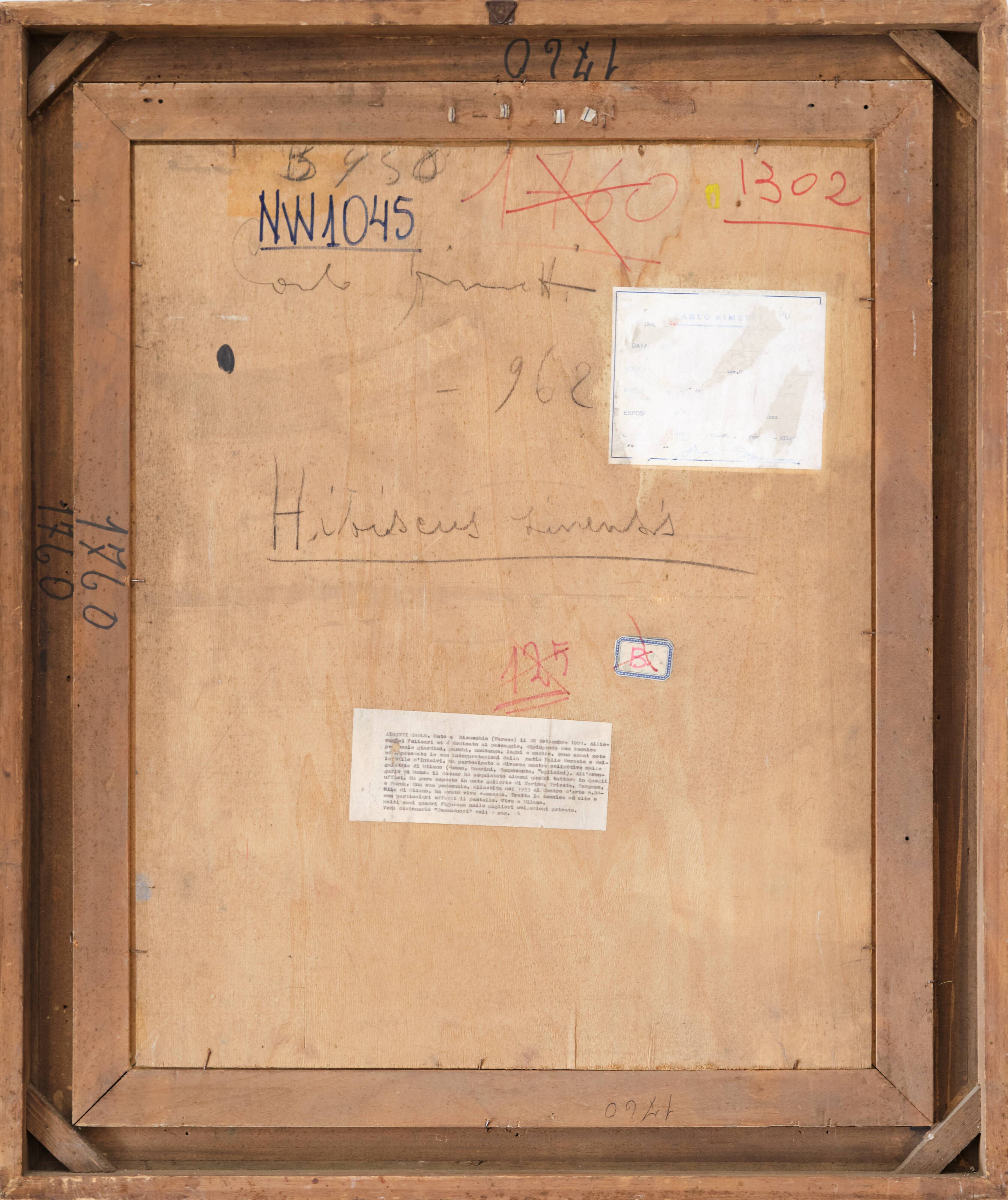 <hibiscus rosa-sinensis>,carlo aimetti (bisuschio, 1901-1980)