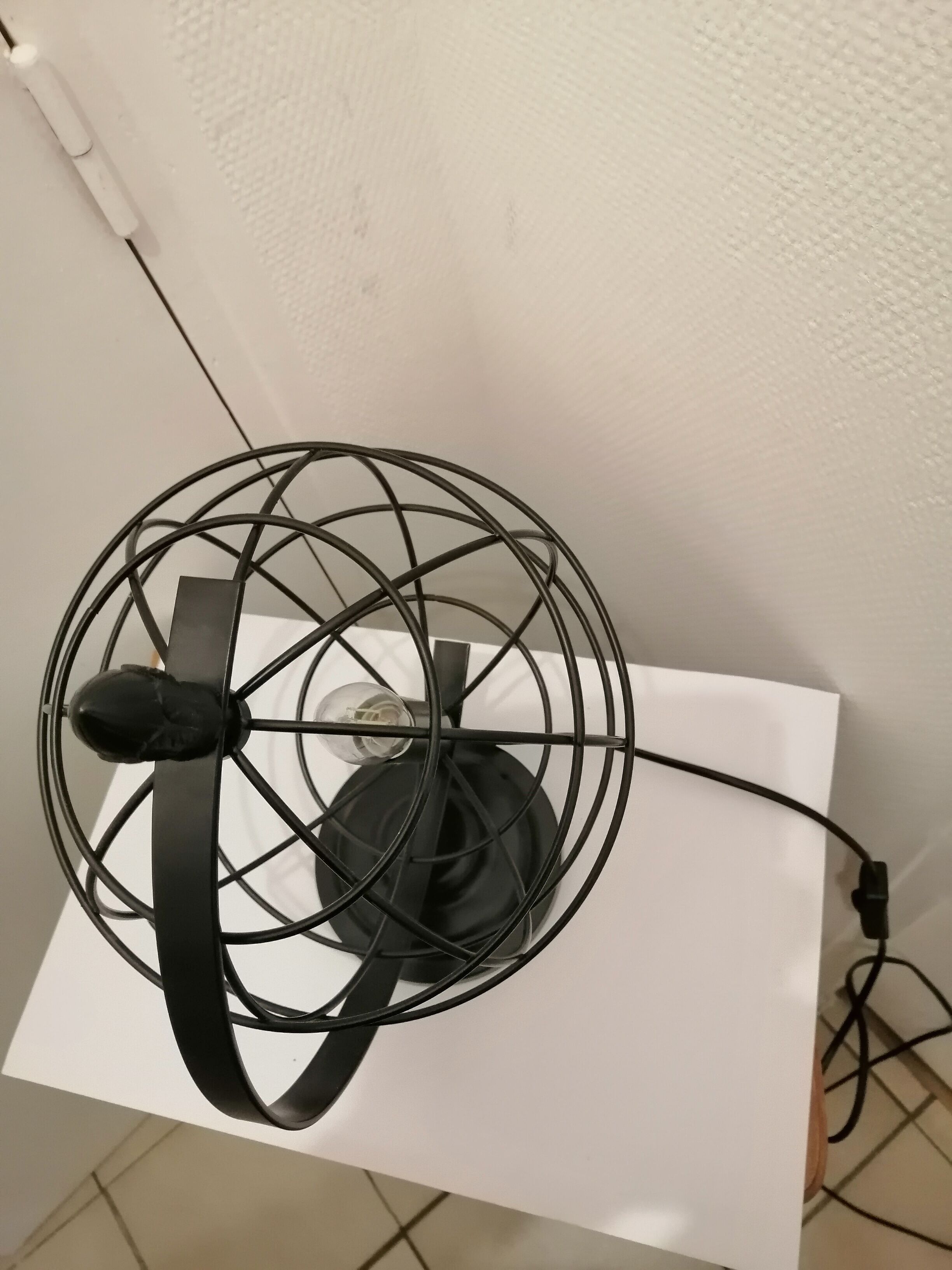 Cage globe lamp