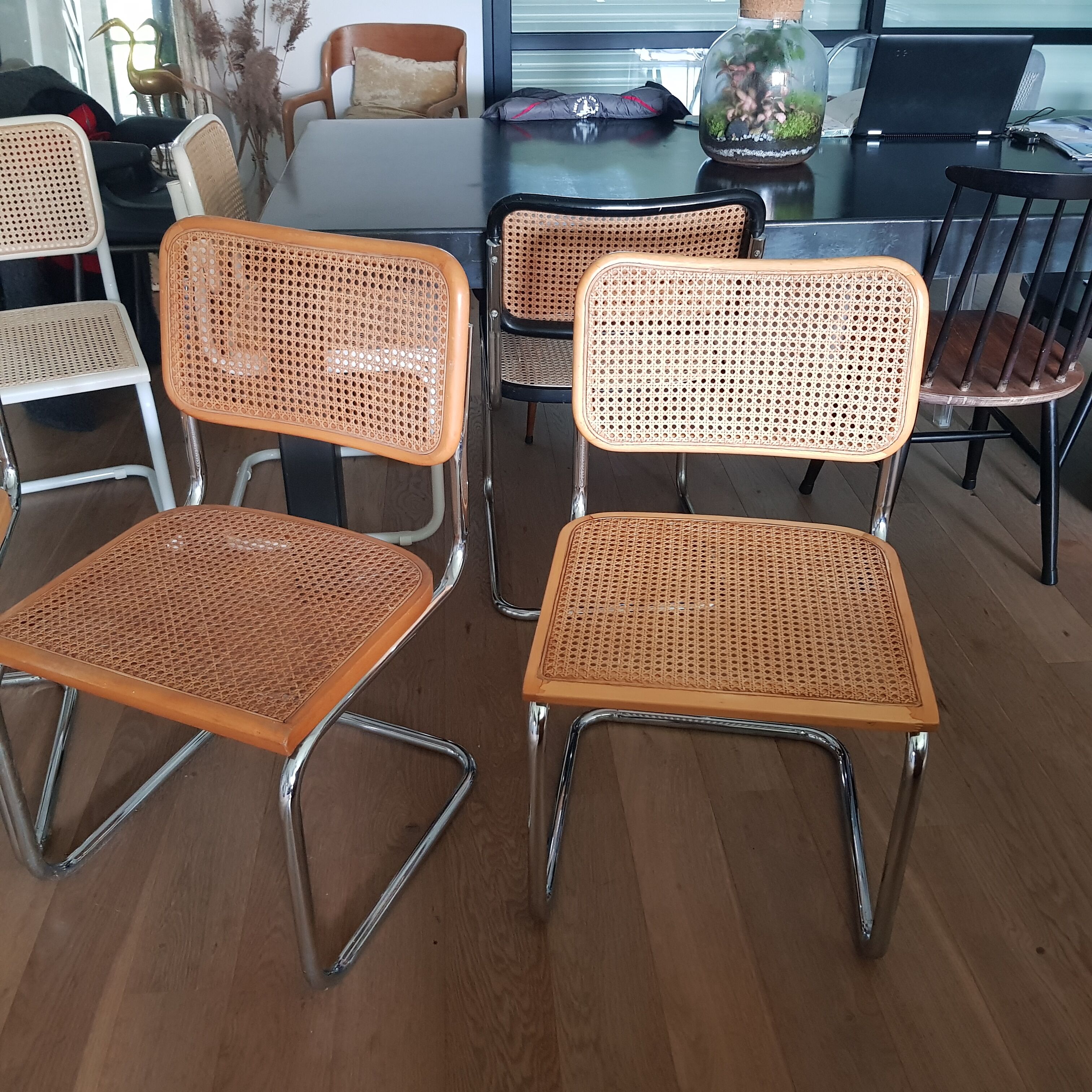 Chairs Cesca Marcel Breuer