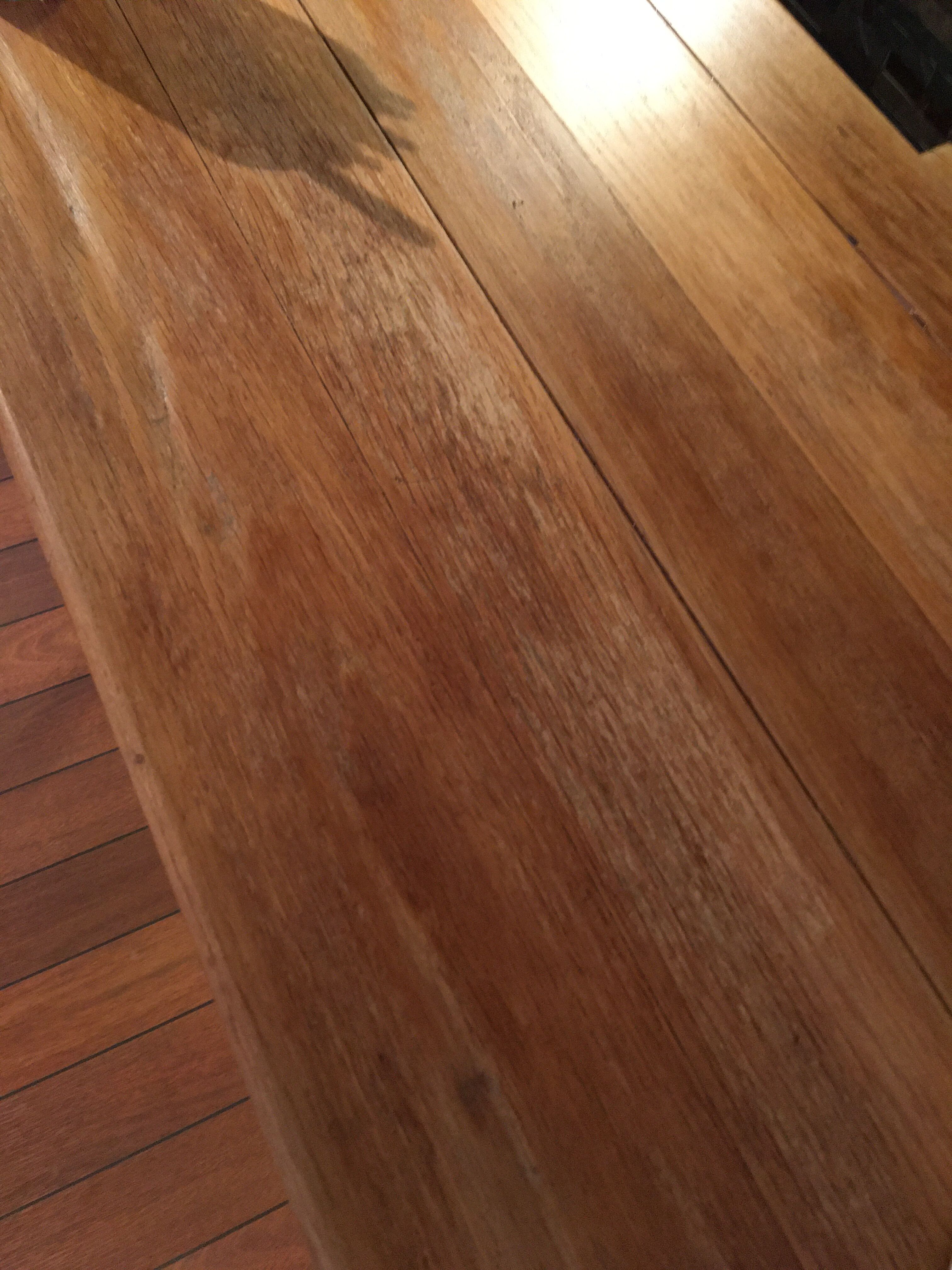 Office school year 60