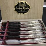 Box of 6 small English knives in silver metal