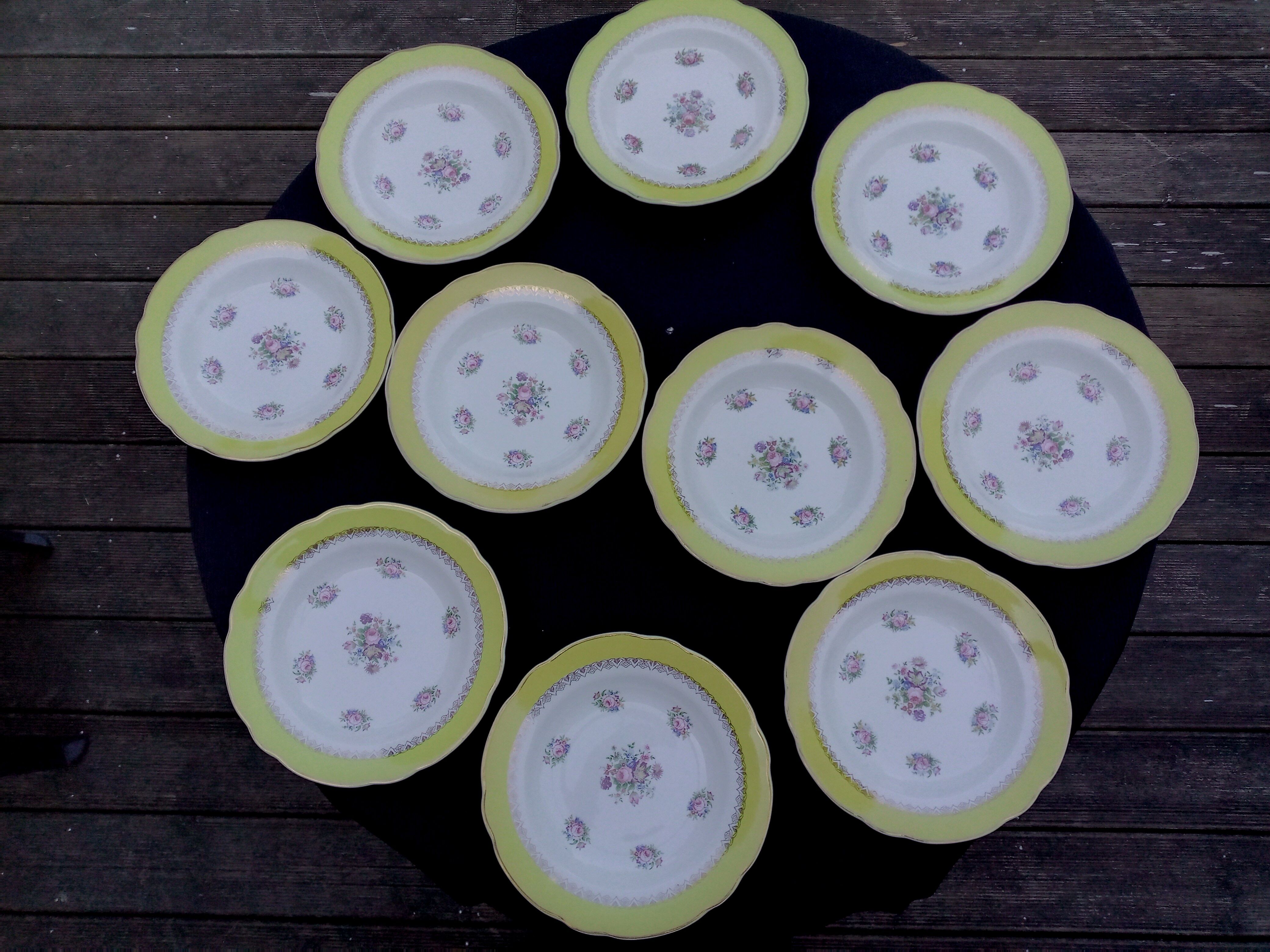 10 hollow plates model graziella sarreguemines & digoin