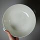 Large salad bowl HB Choisy-le-Roi polychrome ironstone "Elisabeth" early 20th century