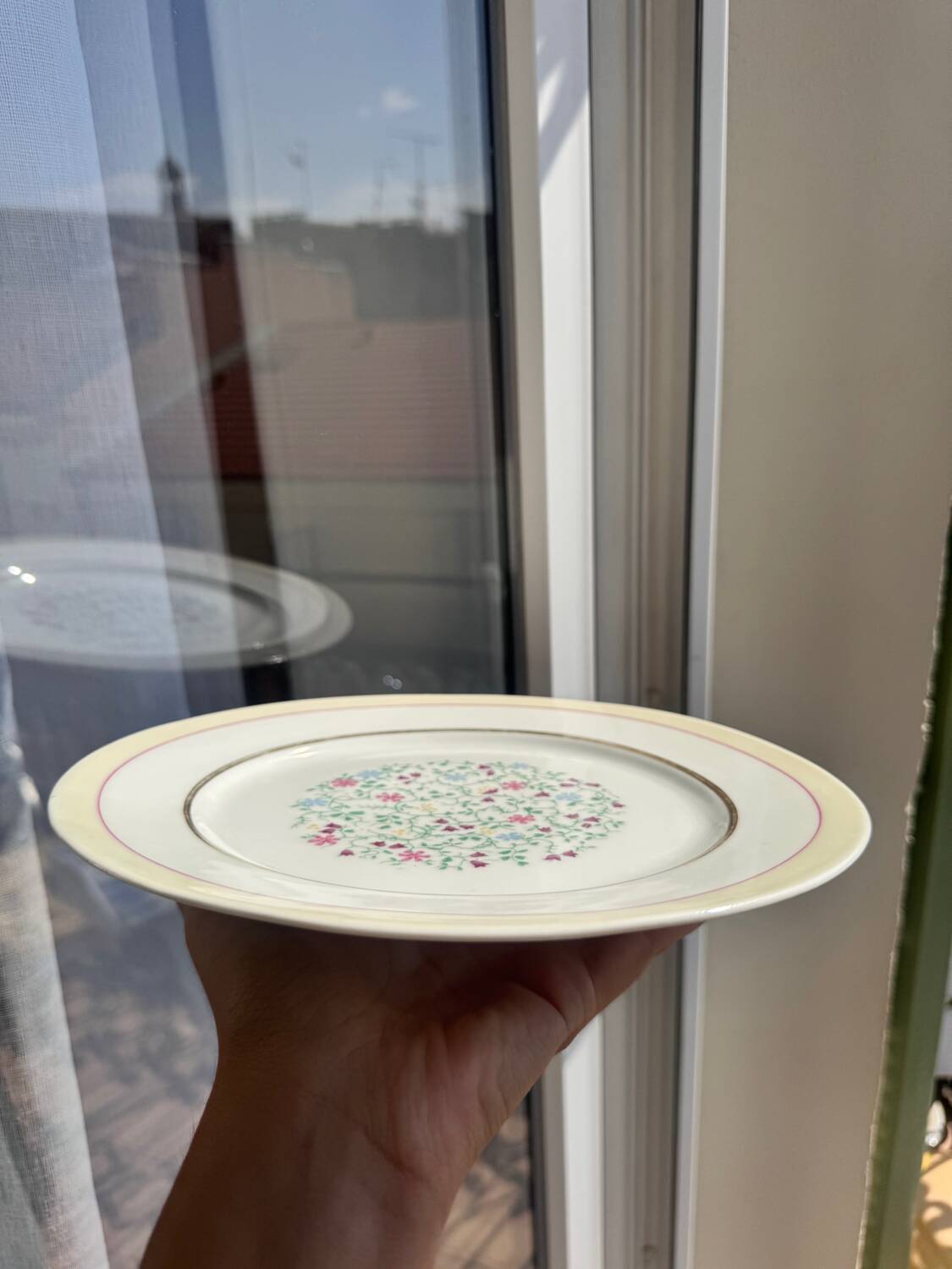 Set of 6 Porcelain Dinner Plates