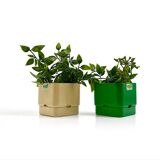 Pair of Modular Indoor Planters 'Smeralda' by Programma Vastill, 1970s