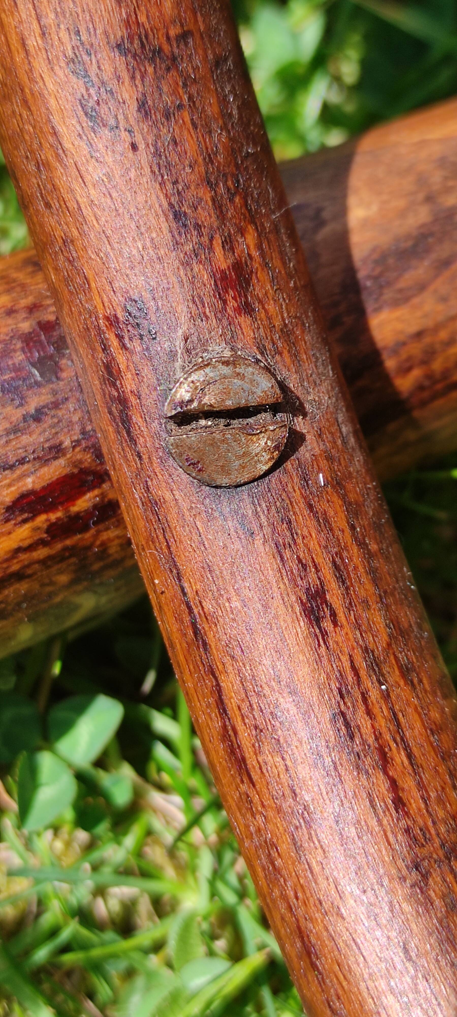 Vintage bistro chair by J-J Kohn