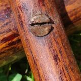 Vintage bistro chair by J-J Kohn