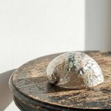 Large polished abalone shell, curiosity item, vintage 20th century.