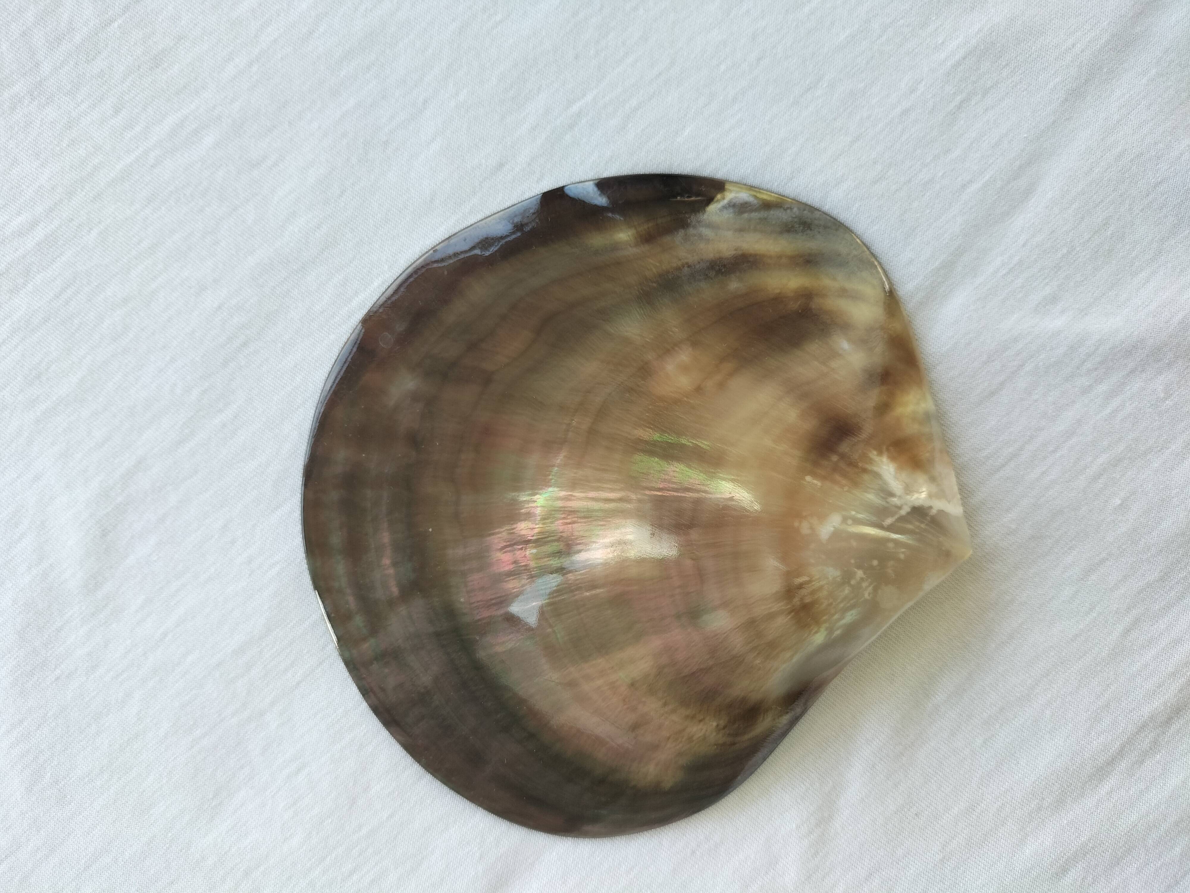 Shell-shaped pocket tray from the pearl oyster of the islands.