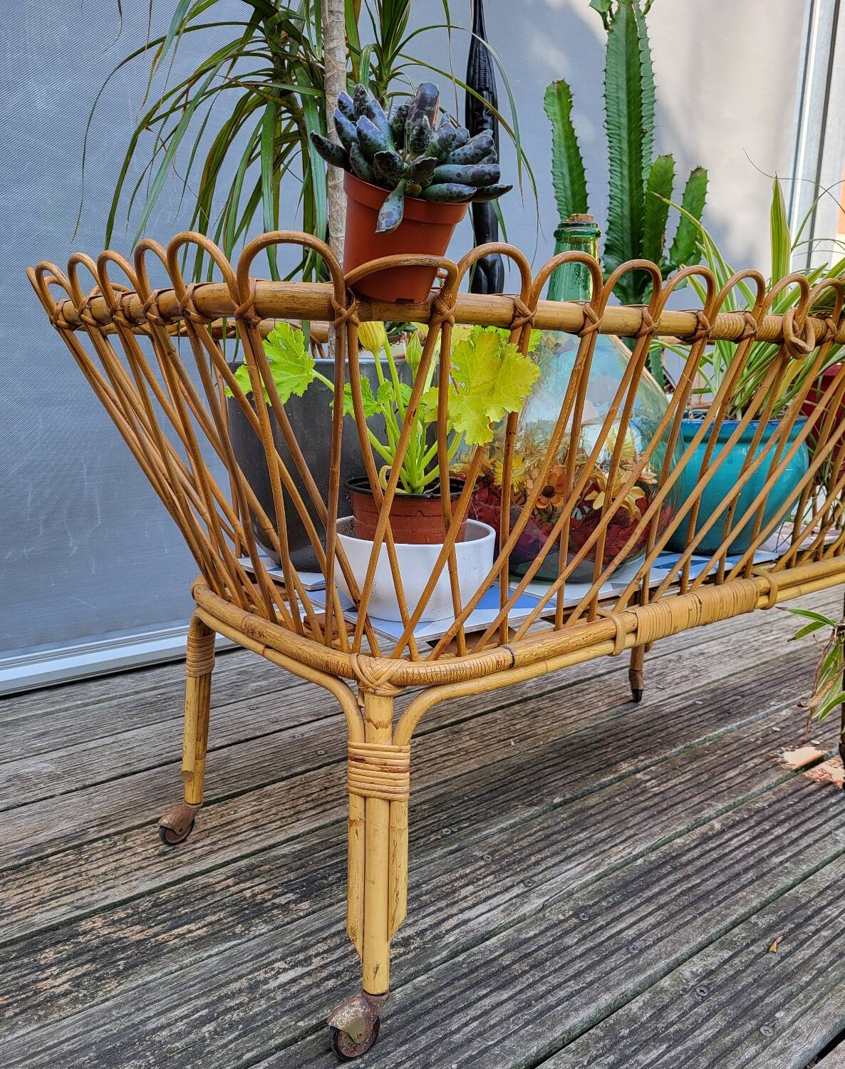 Nursery basket for green plants