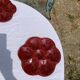 4 oyster plates in vintage red glazed ceramic slip and collector