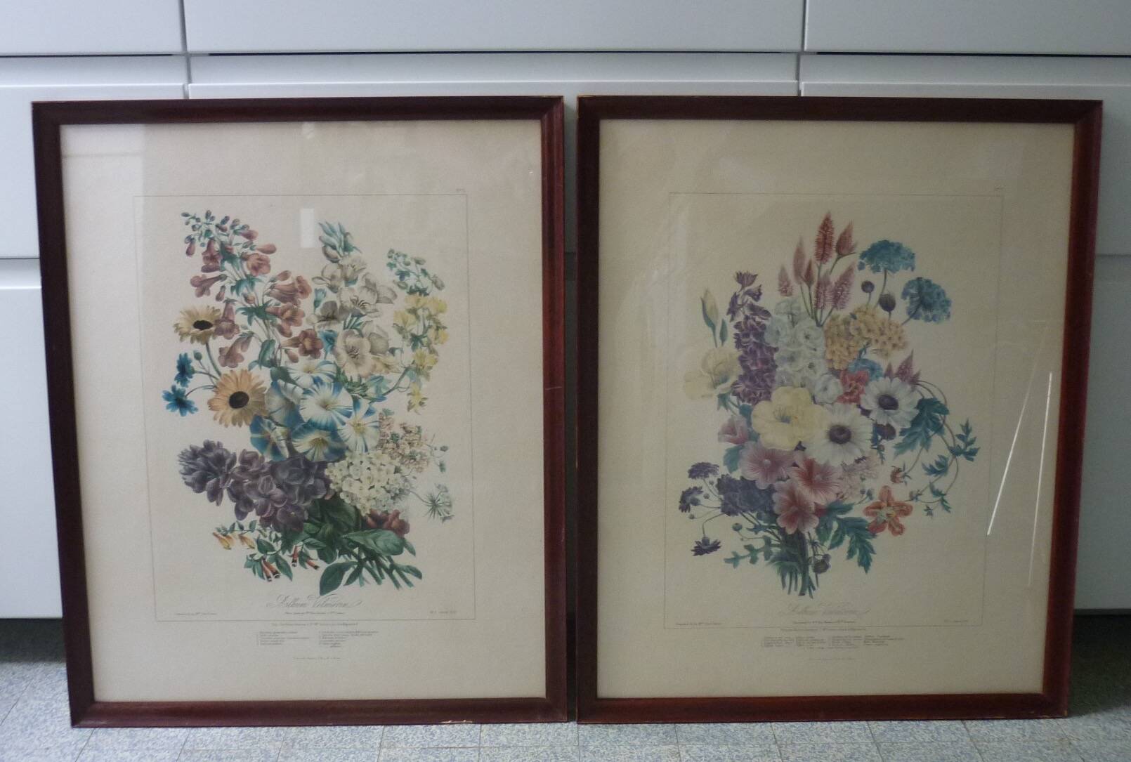 Framed Vilmorin lithograph, bouquet No 7, 1857, E. Champin