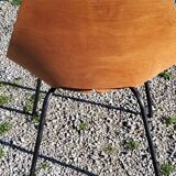 Pair of tonneau chairs by Pierre Guariche plywood base tubes 1954