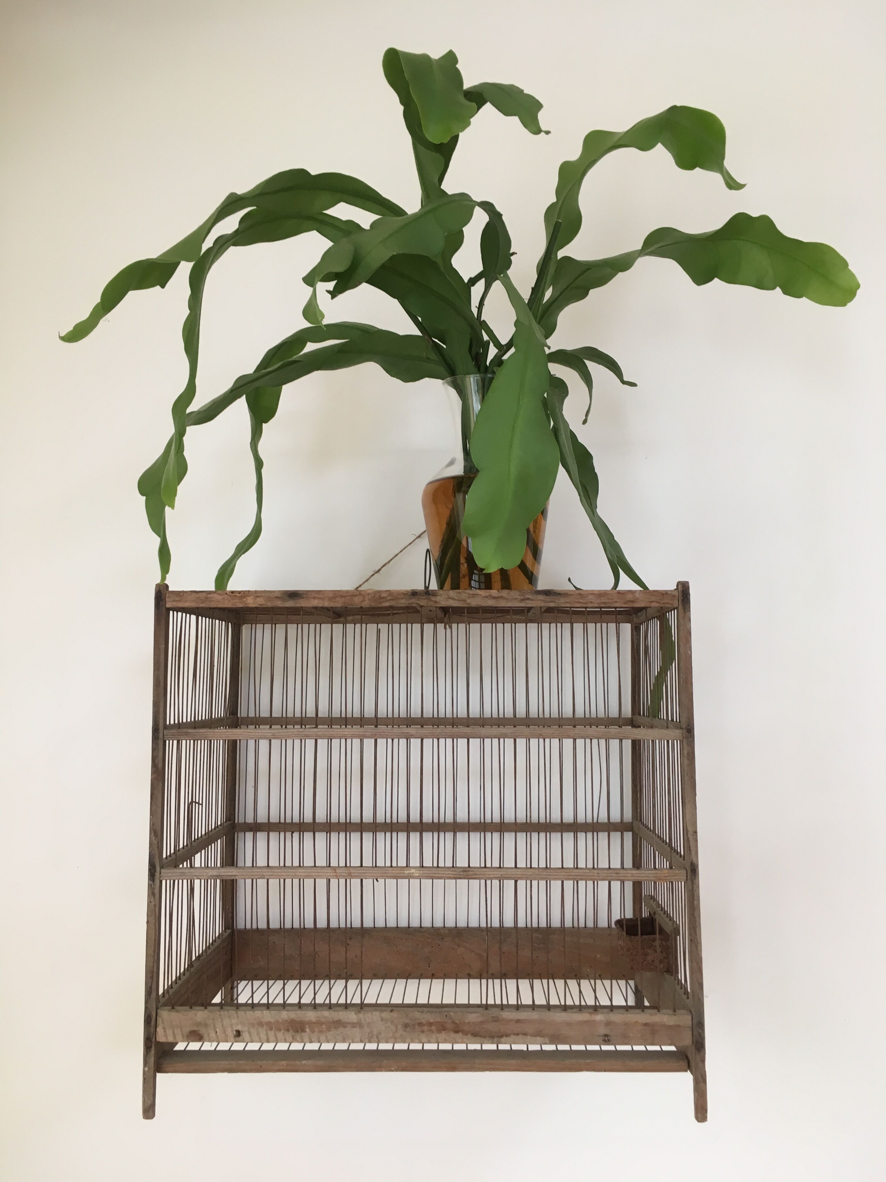 Old wooden bird cage