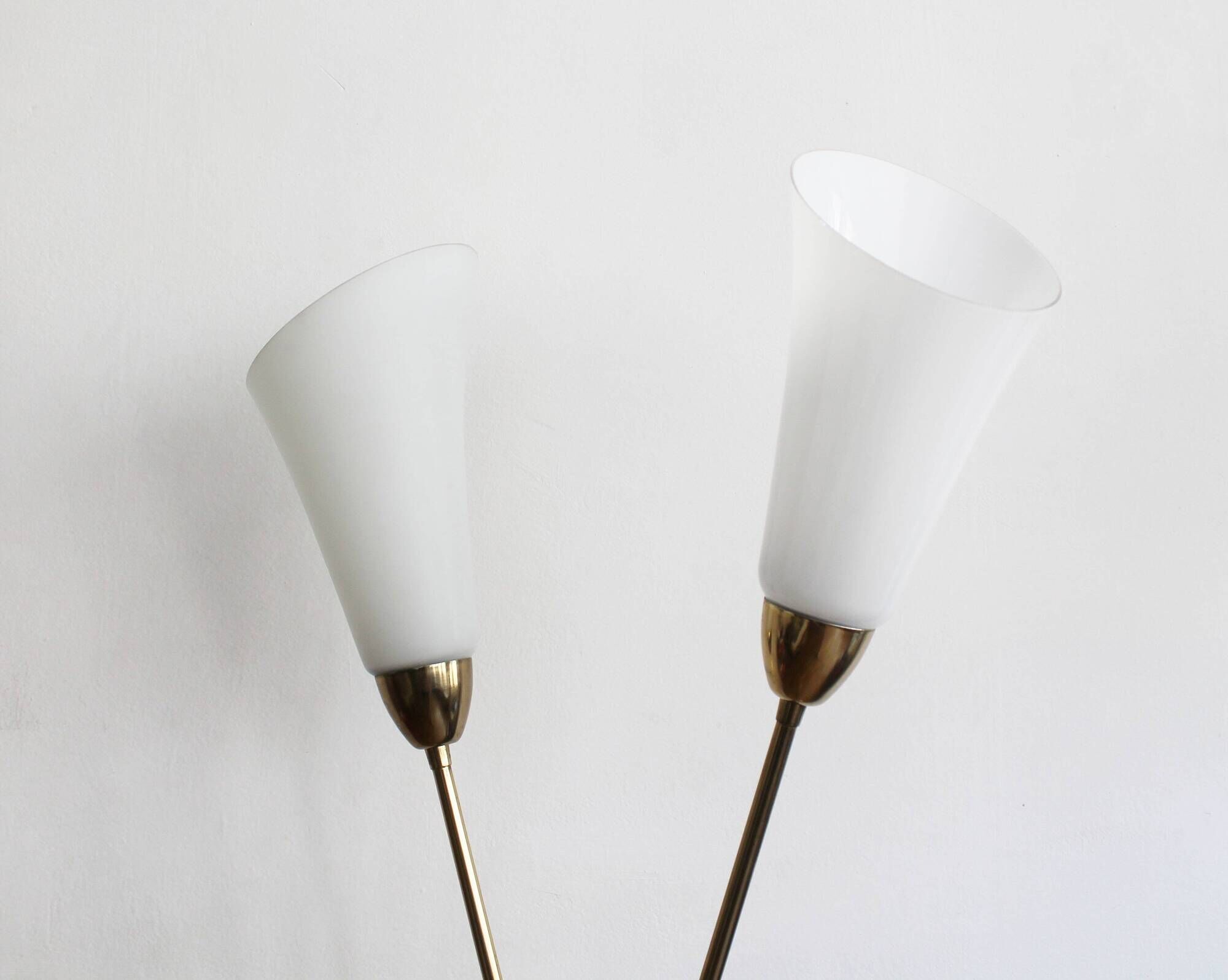 Sculptural Czech Floor Lamp with Twin Milk Glass Shades, 1960s