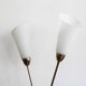 Sculptural Czech Floor Lamp with Twin Milk Glass Shades, 1960s